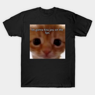 I'm gonna kiss you on the lips cat meme T-Shirt